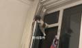 小猫跳上窗户被卡栏杆中间 猫：还不快抱我下来