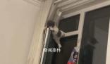 小猫跳上窗户被卡栏杆中间 猫：还不快抱我下来