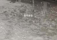 广东多地突降暴雨冰雹密集砸地