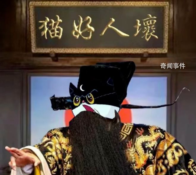 猫好人坏是什么梗 猫好人坏是什么意思