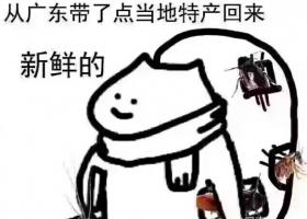 拿着拿着广东蟑螂是什么梗 拿着拿着广东蟑螂是什么意思